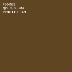 #604523 - Pickled Bean Color Image